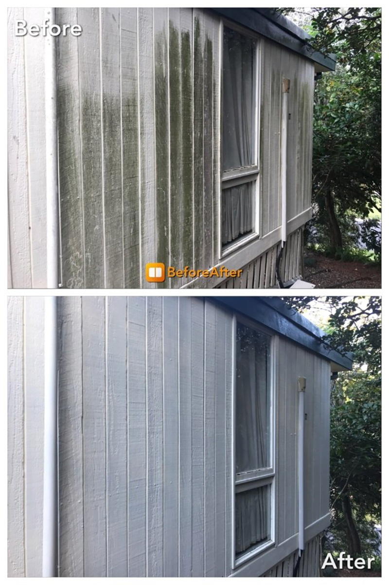 Timber cladding before and after Results from soft washing timber cladding