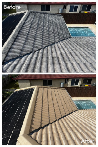 Roof softwashing brisbane 